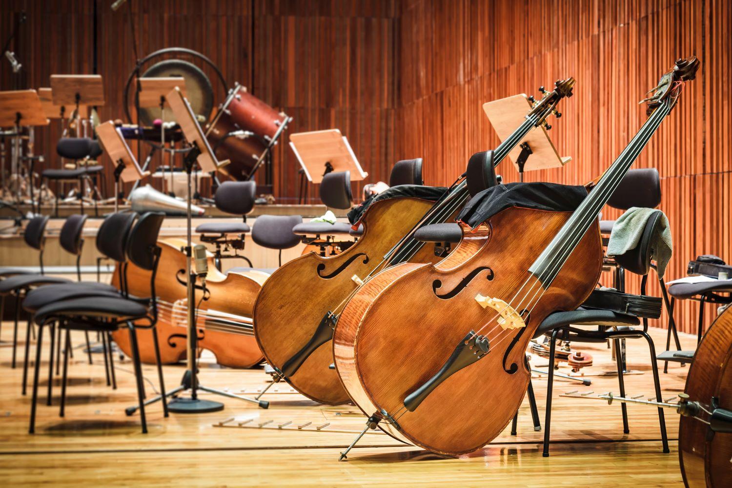 orchestral ensemble on stage