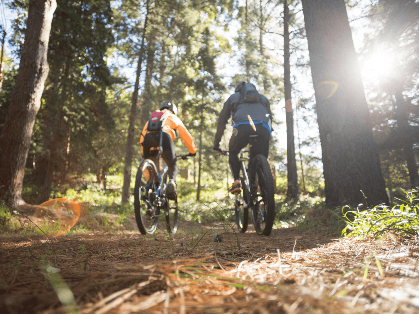 mountain biking trails in the Poconos