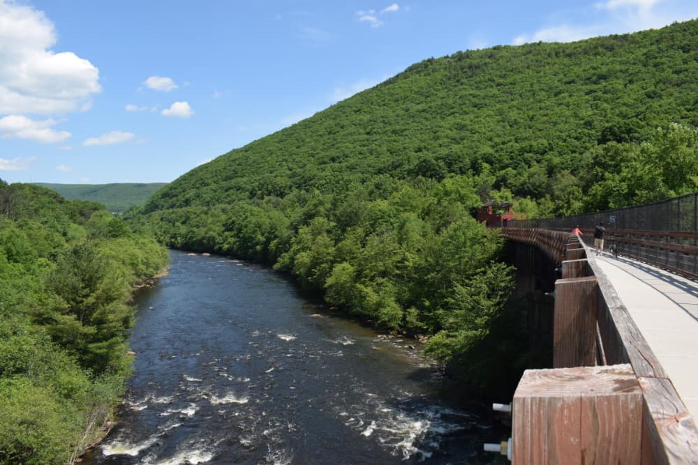 A panoramic view of the Lehigh River and the Lehigh Gorge Trail, with lush greenery and a bridge.