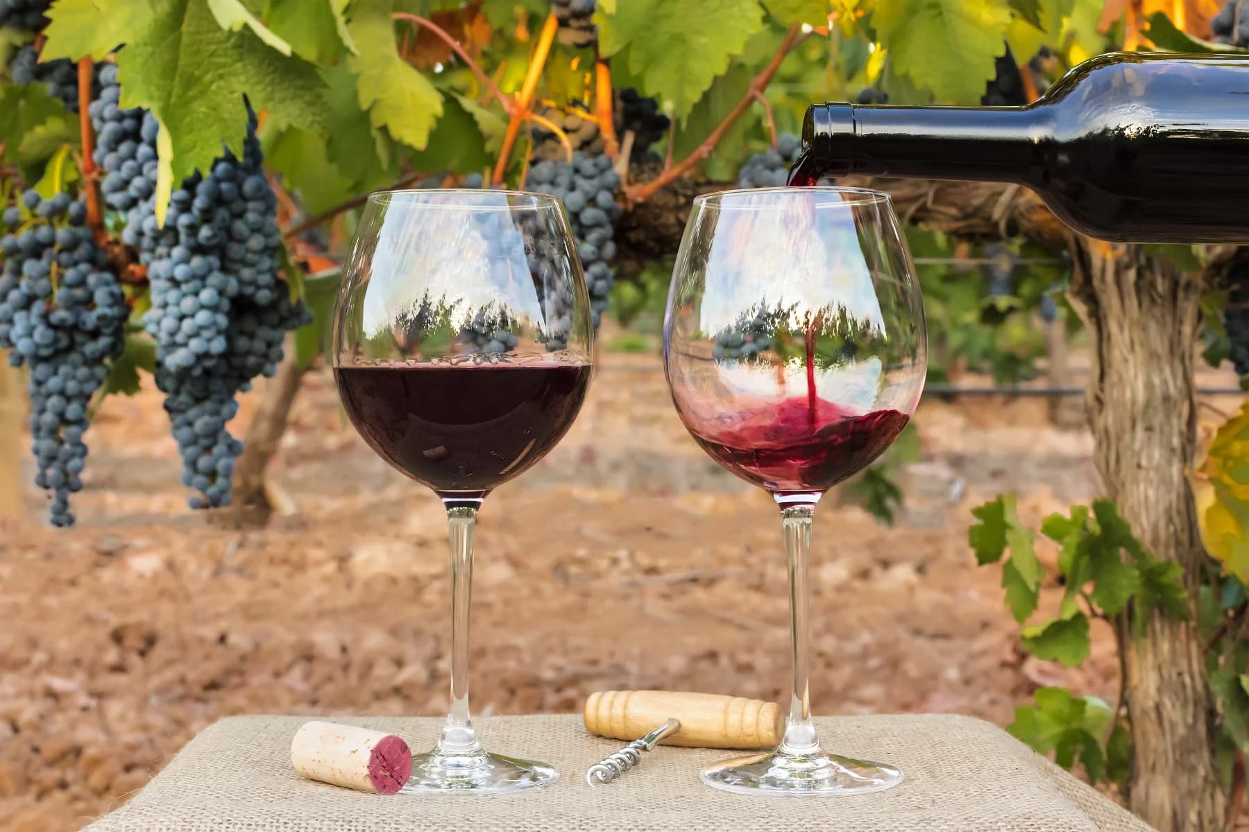 Two wine glasses sit on a table with a bottle pouring red wine, framed by grapevines in the background.
