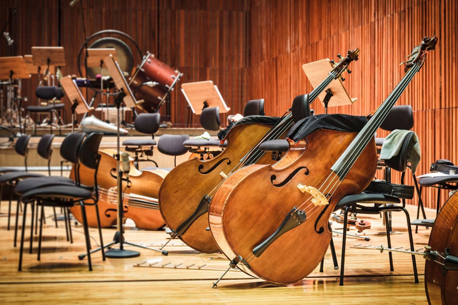 A close-up view of several stringed instruments, including cellos, in an orchestral setting with music stands and chairs in the background. A close-up view of several stringed instruments, including cellos, in an orchestral setting with music stands and chairs in the background.