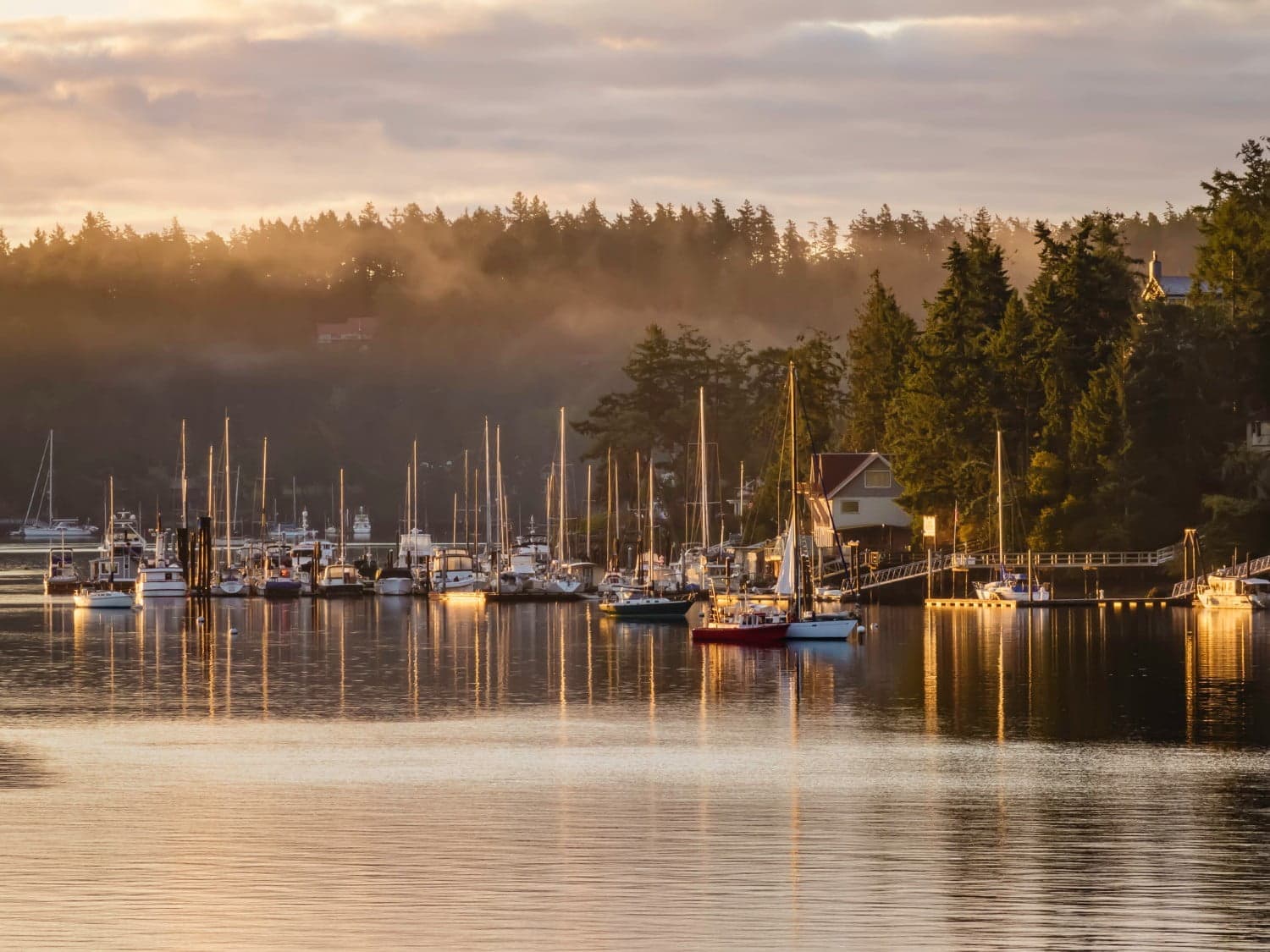 A serene marina at sunrise, with boats reflecting on calm waters and surrounded by misty trees.