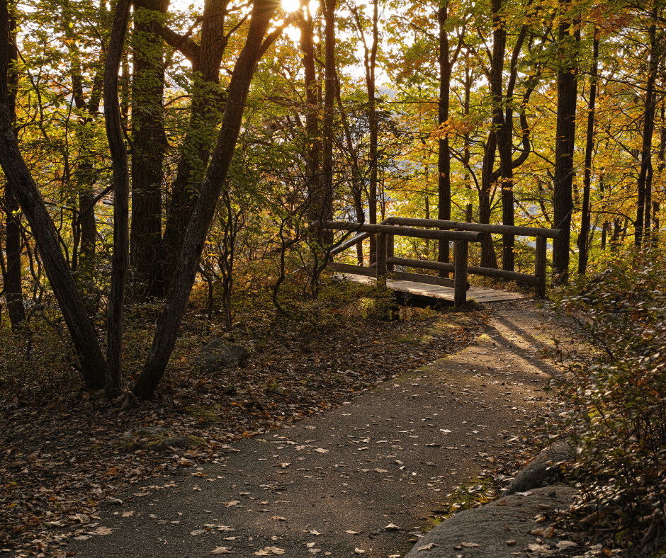 A winding path through autumn trees leads to a wooden bridge illuminated by the setting sun.
