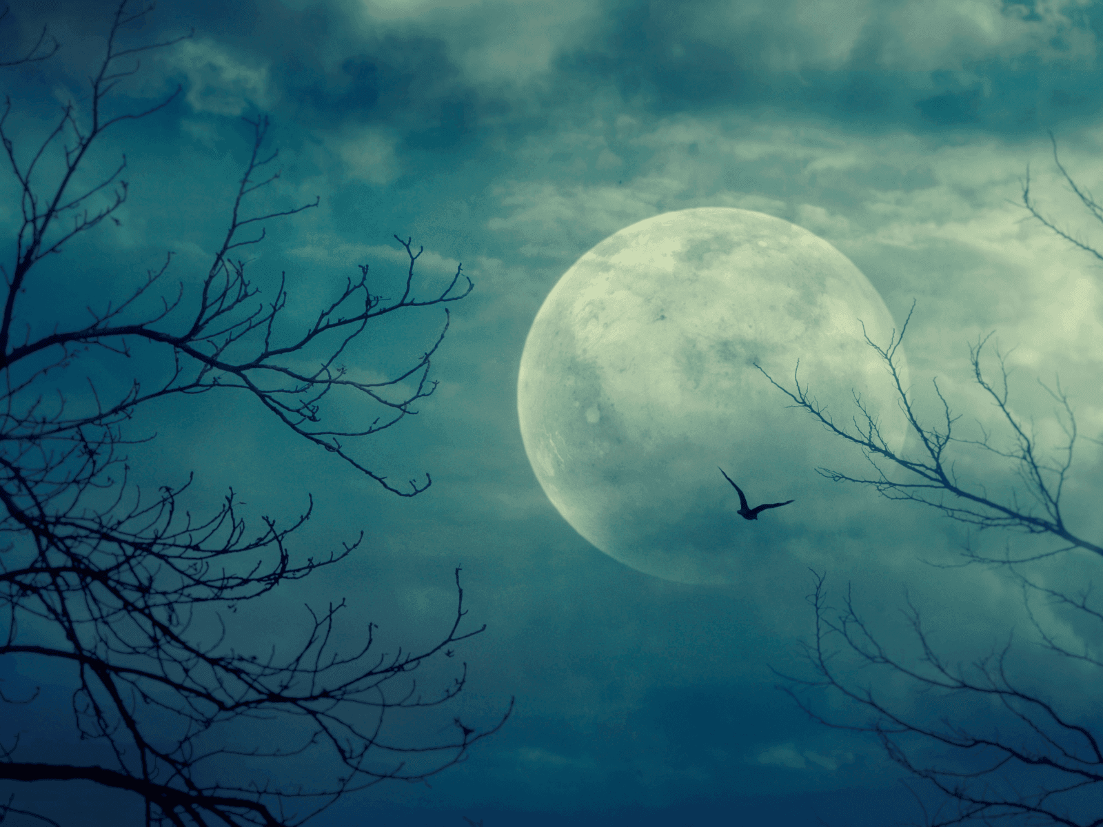 A large moon illuminated by clouds, framed by bare tree branches and a flying bird.