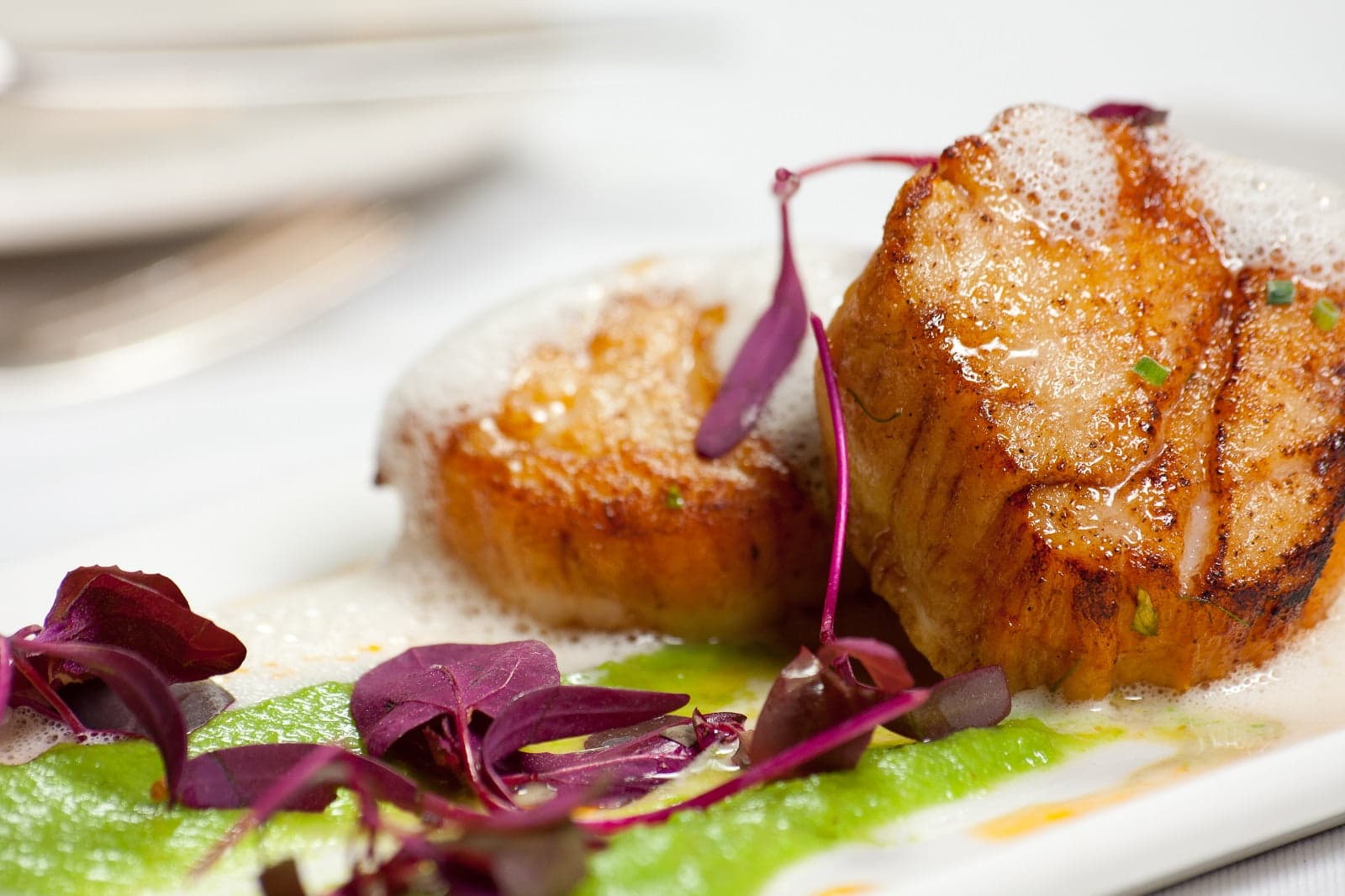 A close-up of seared scallops garnished with microgreens on a vibrant green puree.