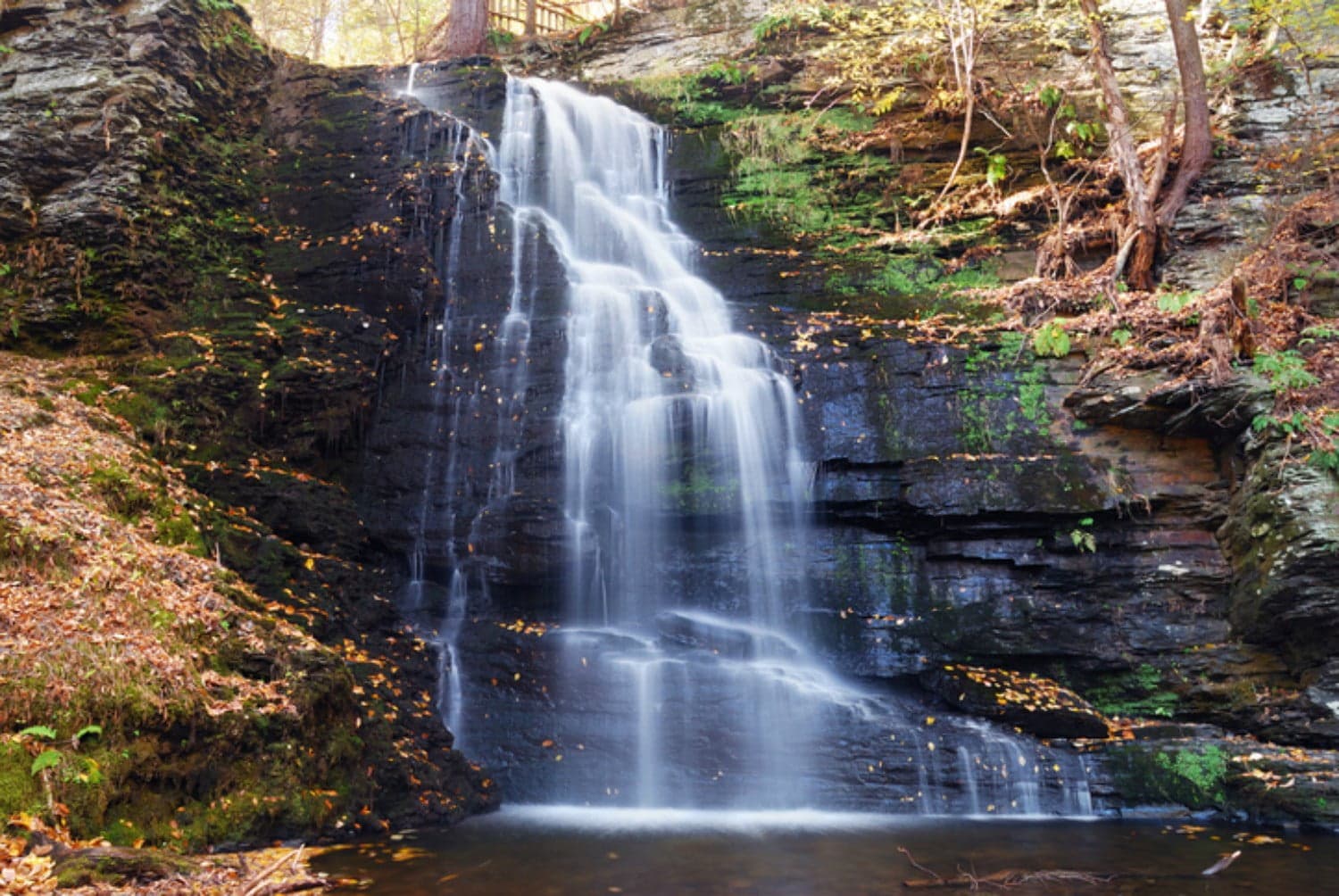 A serene waterfall cascading over dark rocks surrounded by autumn leaves and greenery.