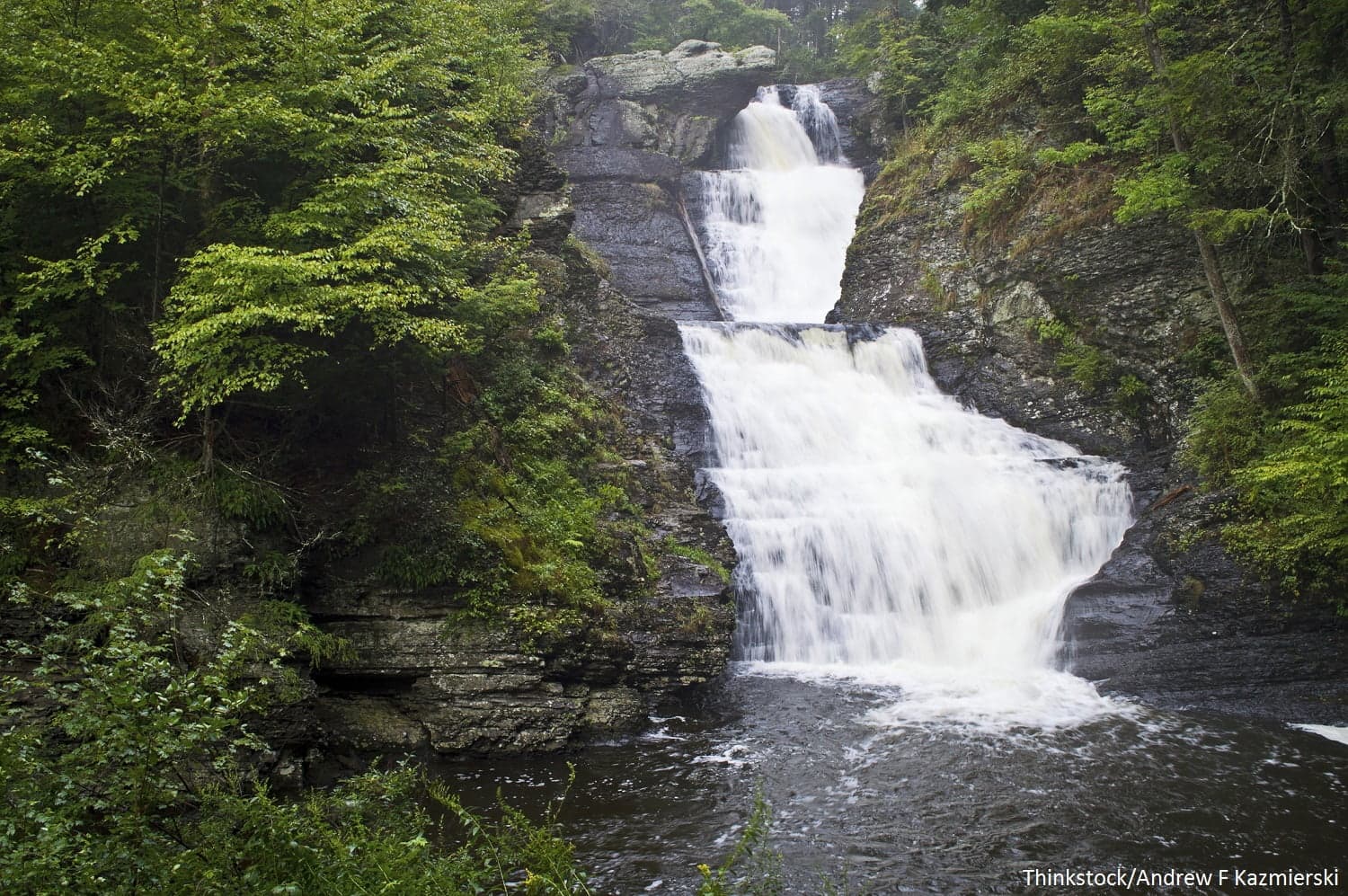 A cascading waterfall surrounded by lush green trees. A cascading waterfall surrounded by lush green trees.