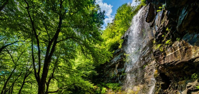 A cascading waterfall surrounded by lush greenery and blue skies.