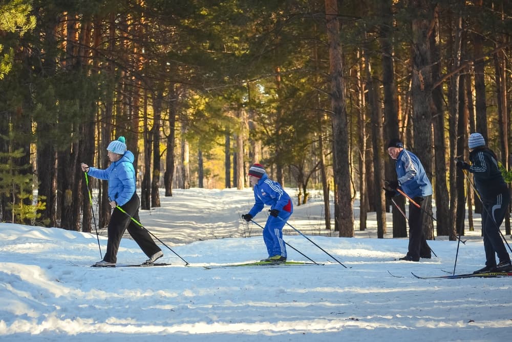 A family of four cross country skiing through the woods.