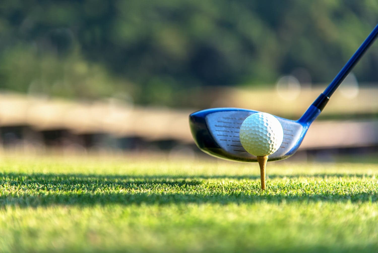 A golf club poised to strike a tee'd ball on a green fairway. A golf club poised to strike a tee'd ball on a green fairway.