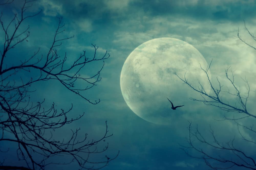 A large, bright moon in a cloudy night sky, with bare tree branches and a silhouette of a bird flying.