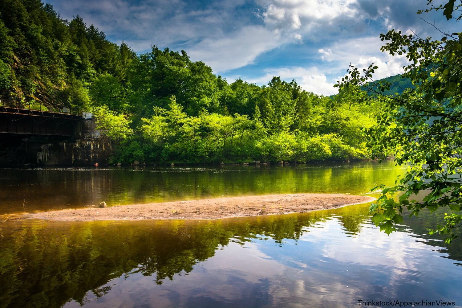 A serene river scene with lush green trees reflecting in the calm water under a blue sky.