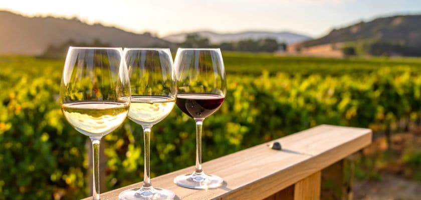 Three glasses of wine on a wooden railing with a vineyard in the background.