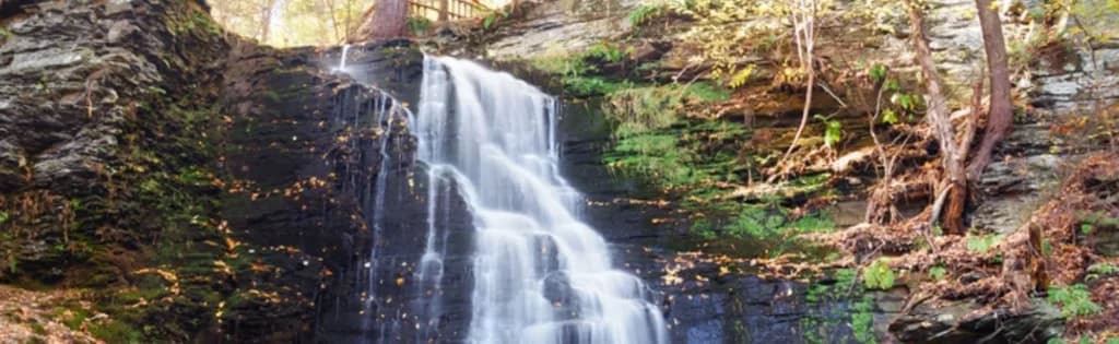A scenic waterfall cascading down a rocky cliff, surrounded by lush green trees and ferns. The water flows over moss-covered rocks and creates a small pool at the bottom.