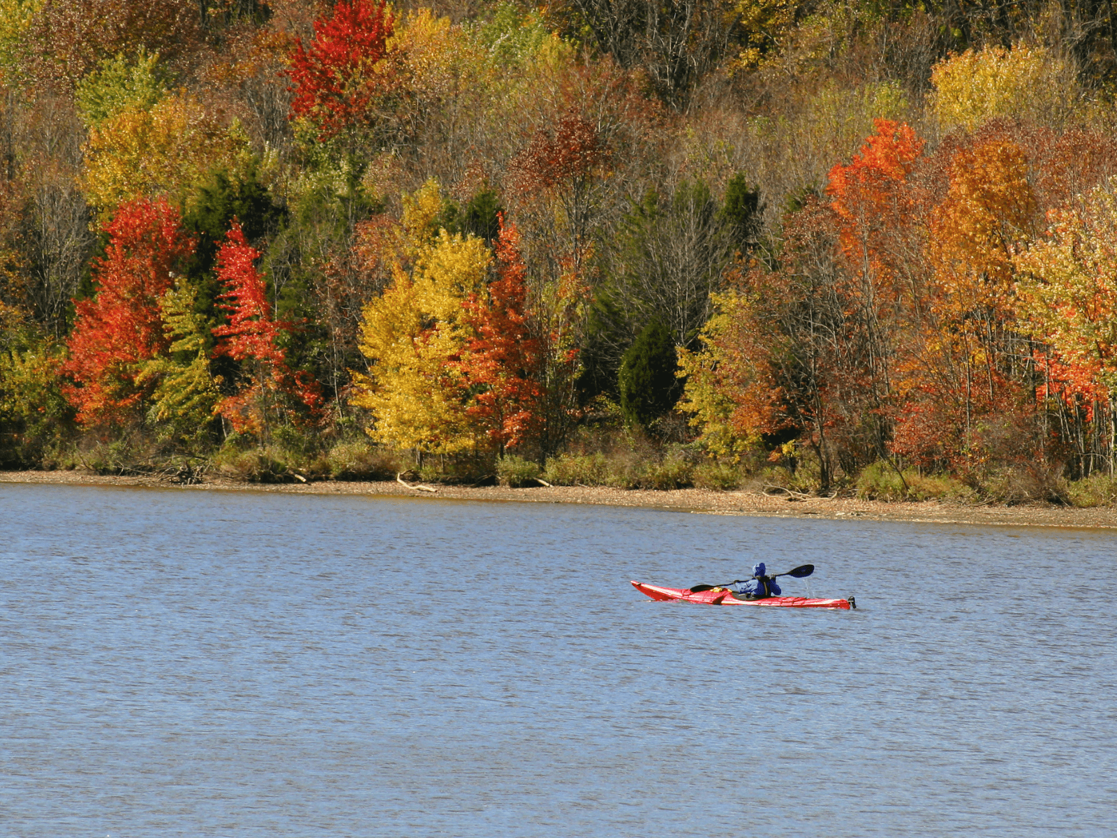 A kayaker paddles on a lake surrounded by vibrant autumn foliage. A kayaker paddles on a lake surrounded by vibrant autumn foliage.