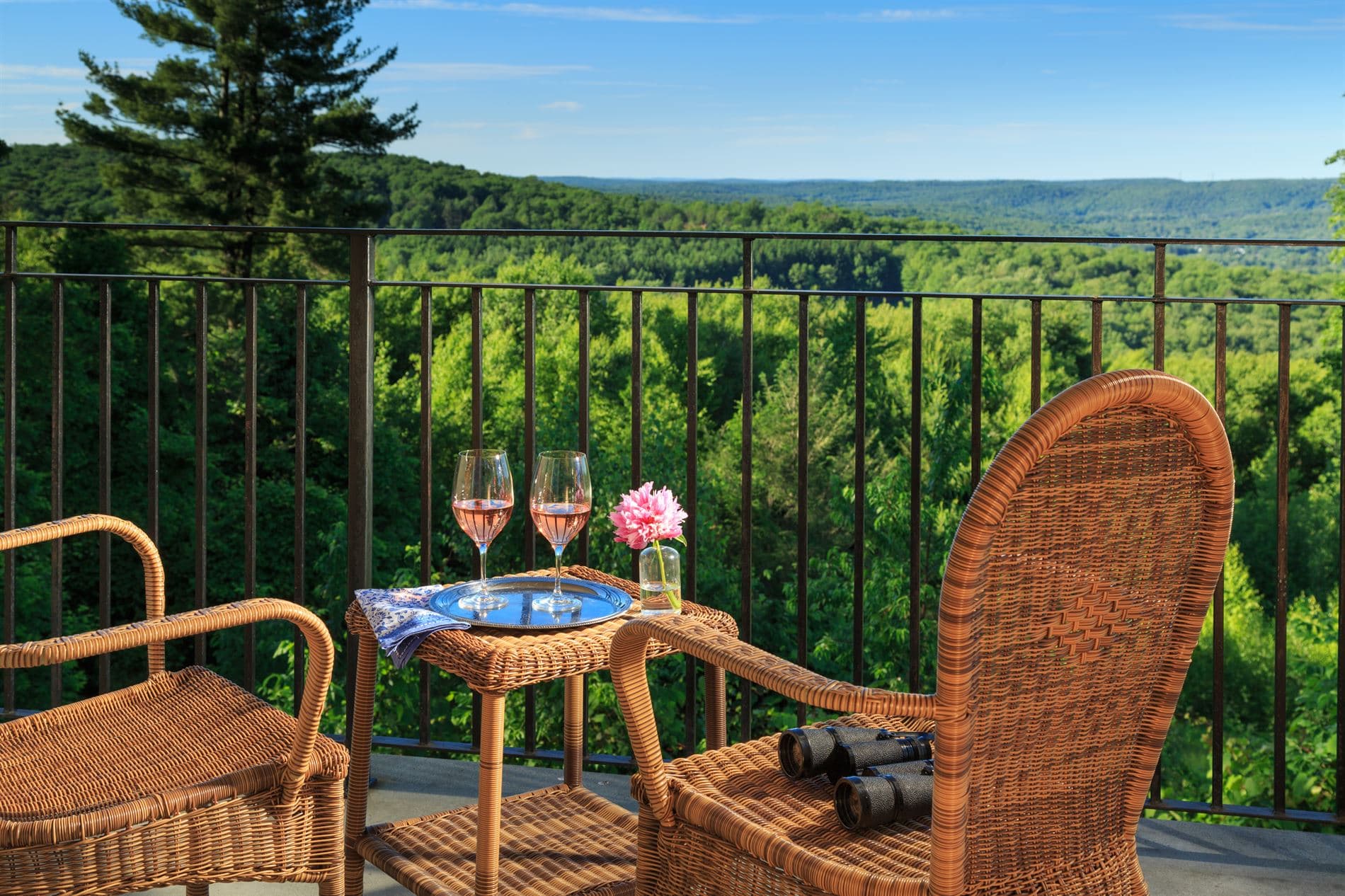 Two glasses of rosé sit on a small table with flowers and binoculars, overlooking a green valley from a balcony.