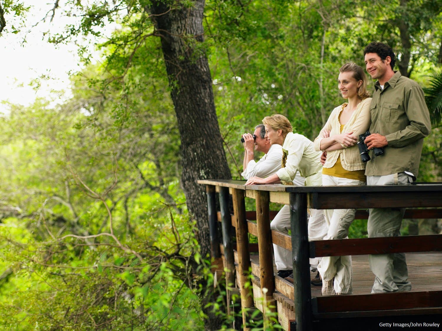 Four people observing nature from a wooden platform surrounded by greenery. Four people observing nature from a wooden platform surrounded by greenery.