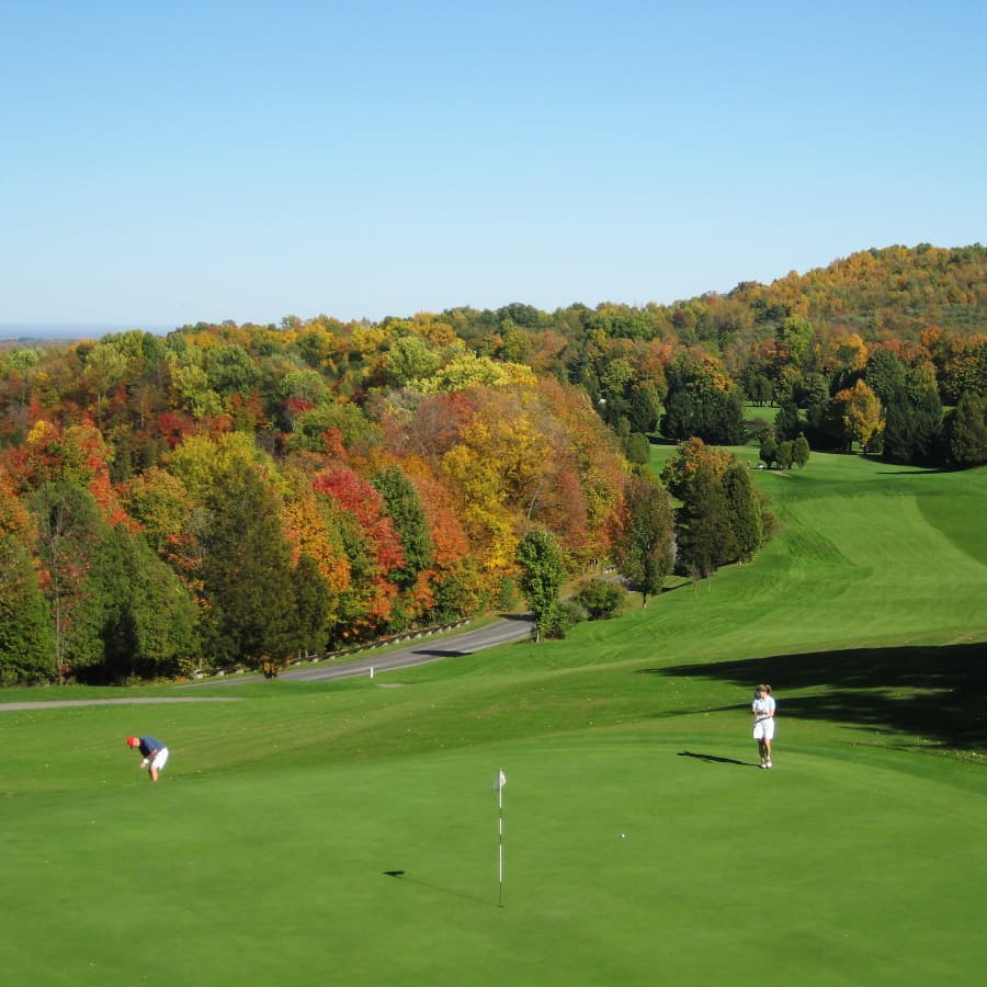 Green golf course from drone photo with fall colors in trees