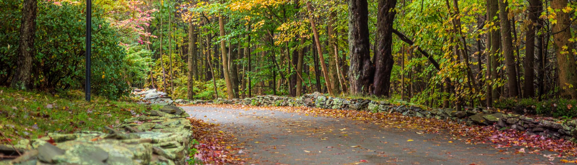 A winding road lined with stone walls, leading through a colorful autumn forest. The leaves on the trees are turning shades of yellow, orange, and red.
