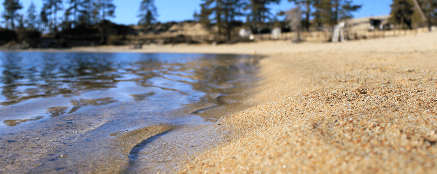 A close-up view of a sandy beach meeting a calm body of water, surrounded by trees.