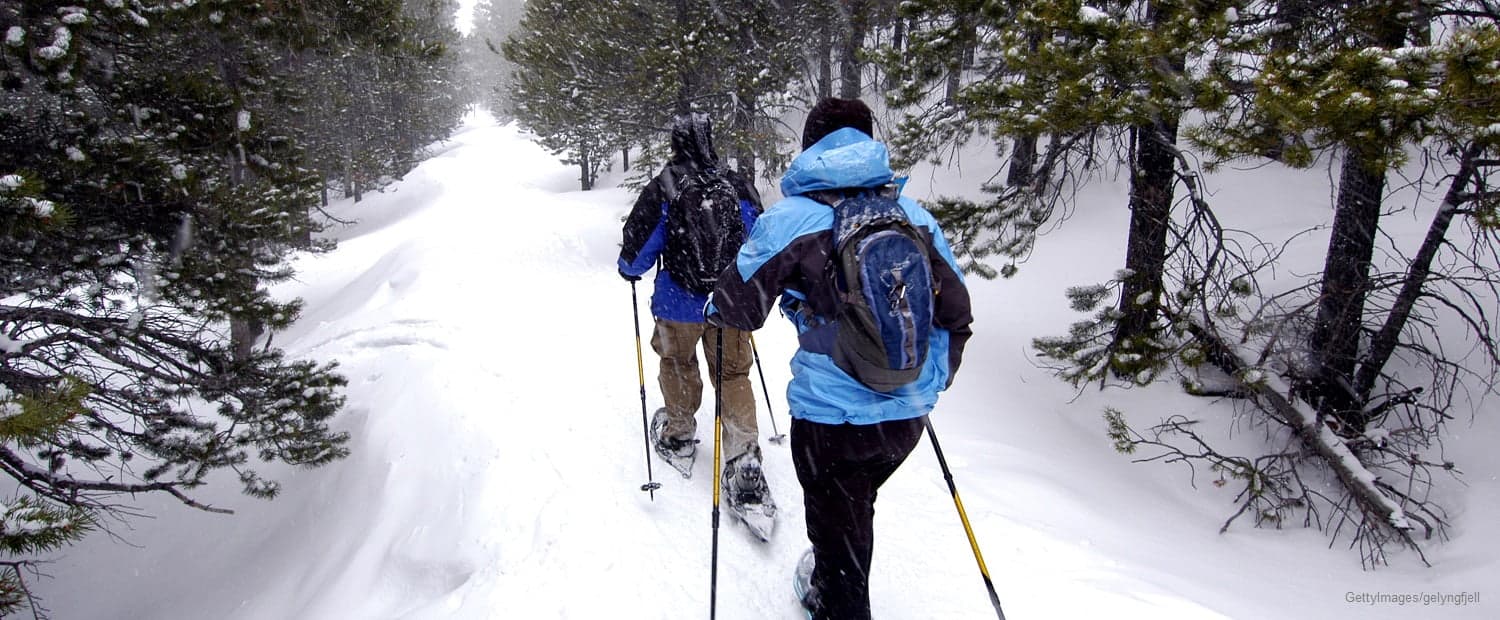 Two hikers trek along a snow-covered trail through a dense forest.