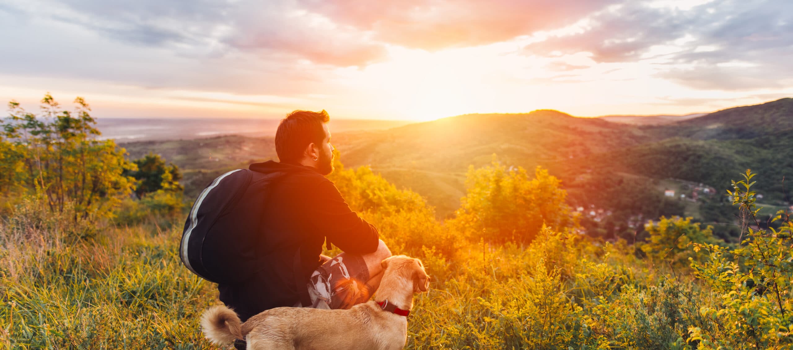 A person sits beside a dog, gazing at a sunset over rolling hills. A person sits beside a dog, gazing at a sunset over rolling hills.