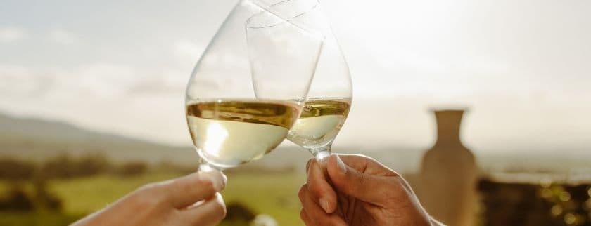 Two hands clink glasses of white wine against a sunny backdrop.