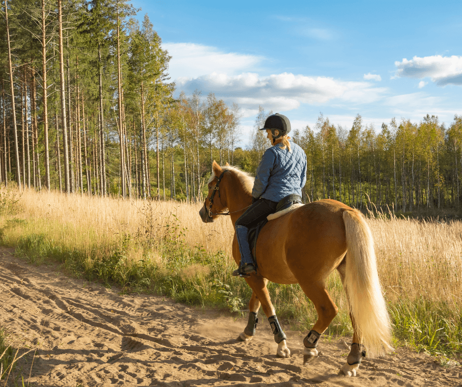 A person rides a brown horse along a sandy path surrounded by tall grass and trees under a blue sky.