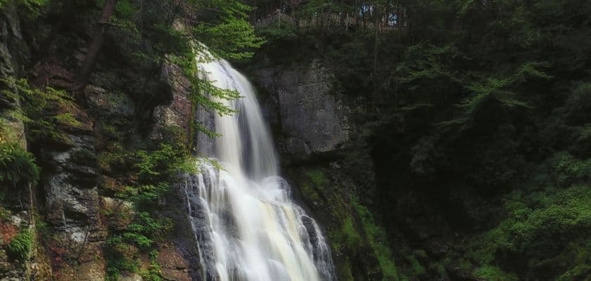 Waterfall cascading down a rocky cliff surrounded by a dense forest and tall trees in a shaded natural setting.