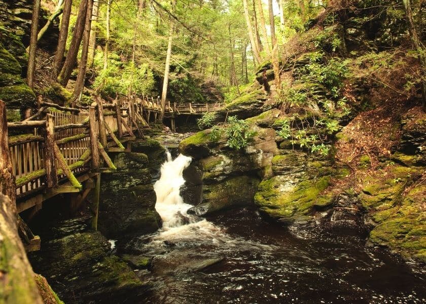 view of bushkill falls, wooden bridge walkway and surrounding woods and rocky area